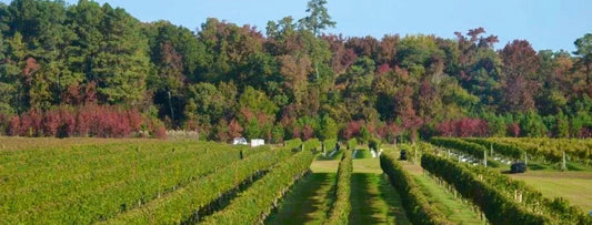 Mark Cascia Vineyards: Stevensville, MD - First Class Ride Scheduling